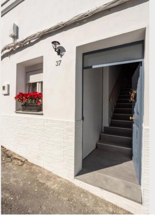 Casa Chano Estudio Confortable Tenerife Icod De Los Vinos Eksteriør bilde